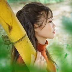 EM OI LEN PHO - NGAN GIANG COVER