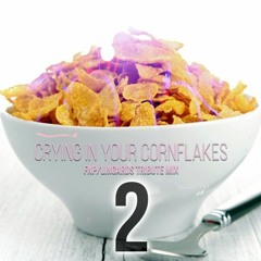 Happy New Year Playlist / DJ XSS