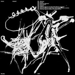 INSIN - Kidney Spears (Labyrinth Body remix)
