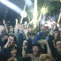 DSNT Podcast 096 - DSNT Crew Live at Sunflowerfest Forest Rave