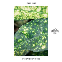 Keizer Jelle - Story About House