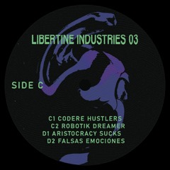 C2 Corp - Robotik Dreamer