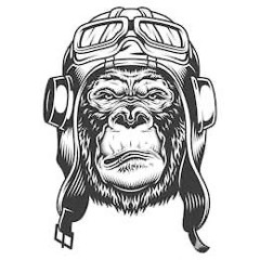 WELCOME TO TRIBAL SOUNDS