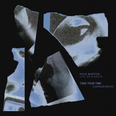 David Marston & Life on Planets - Take Your Time (Lowheads Remix)