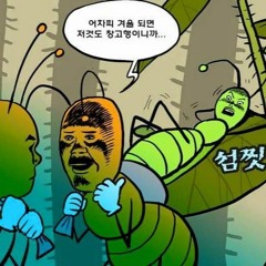 구애