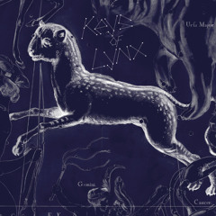 keys of lynx Demo 01