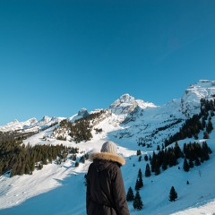 Snowzard - L I F E