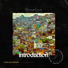 Favelas Introduction