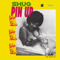 SHUG - Pin Up (Ase Manual Remix)