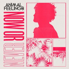 Animal Feelings - Now Or Never (Radio Edit)