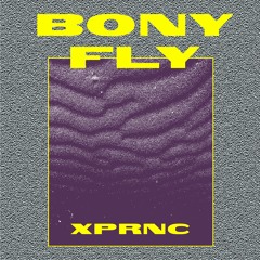 We Not Take Talk - Bony Fly, Jigsy King, Tony Curtis [Evidence Music]
