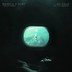 Mahalo & DLMT - So Cold (feat. Lily Denning) [Tobtok Remix]