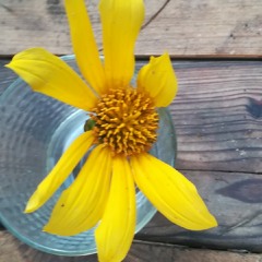 HOY ESTRENO! Primer Programa Me Seguís?