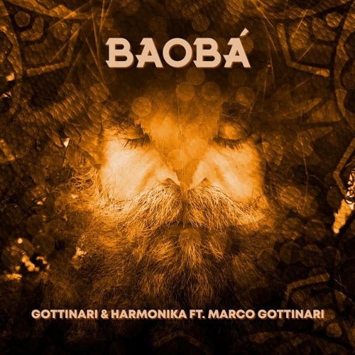 Gottinari vs Harmonika feat Marco Gottinari - Baobá [PREVIEW]
