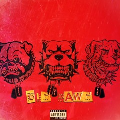 Big Dawg