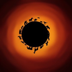 Circle of Life **DIsco45 Mix**Cecilia & Ricø**