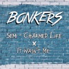 Скачать видео: Semi Charmed Life X It Wasn't Me - (BONKERS EDIT)[FREE DOWNLOAD]