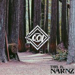 This is NARNZ Mixtape .001