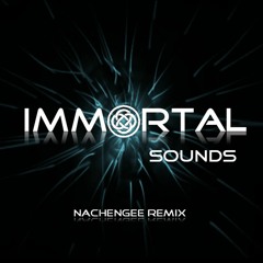 Nachengee Remix