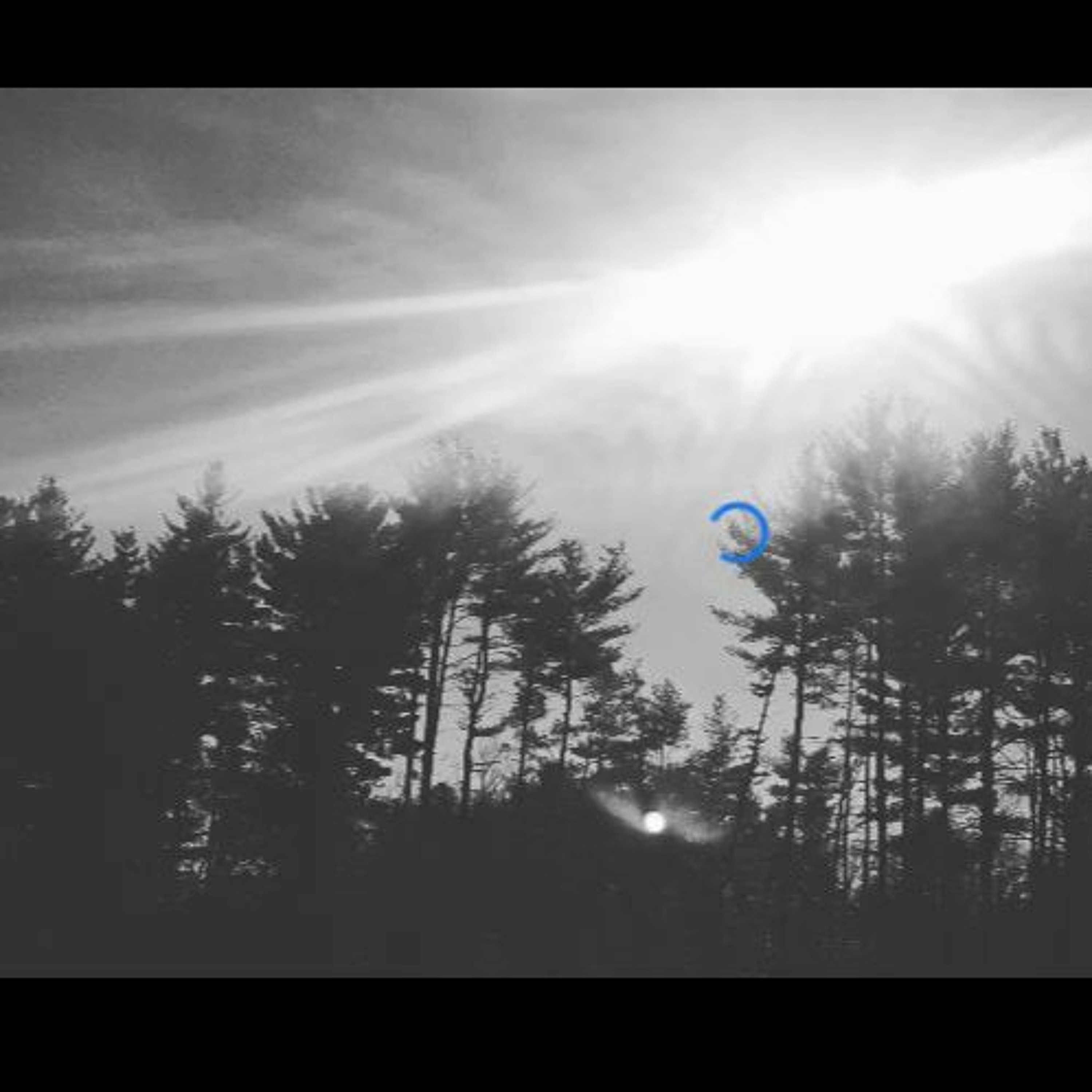 Windswept In The BREEZE episode artwork