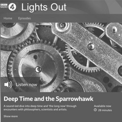 'Deep Time And The Sparrowhawk' by Jaye Kranz for BBC Radio 4