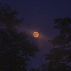 August (feat. Ella Ion)