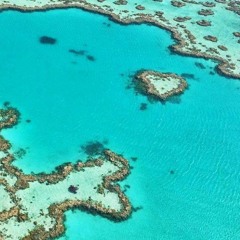 18. Lied - Hart Eiland