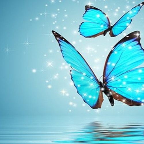 Stream Butterfly prod AMS By AMS Production Listen Online For Free stream-butterfly-prod-ams-by-ams-production-listen-online-for-free
