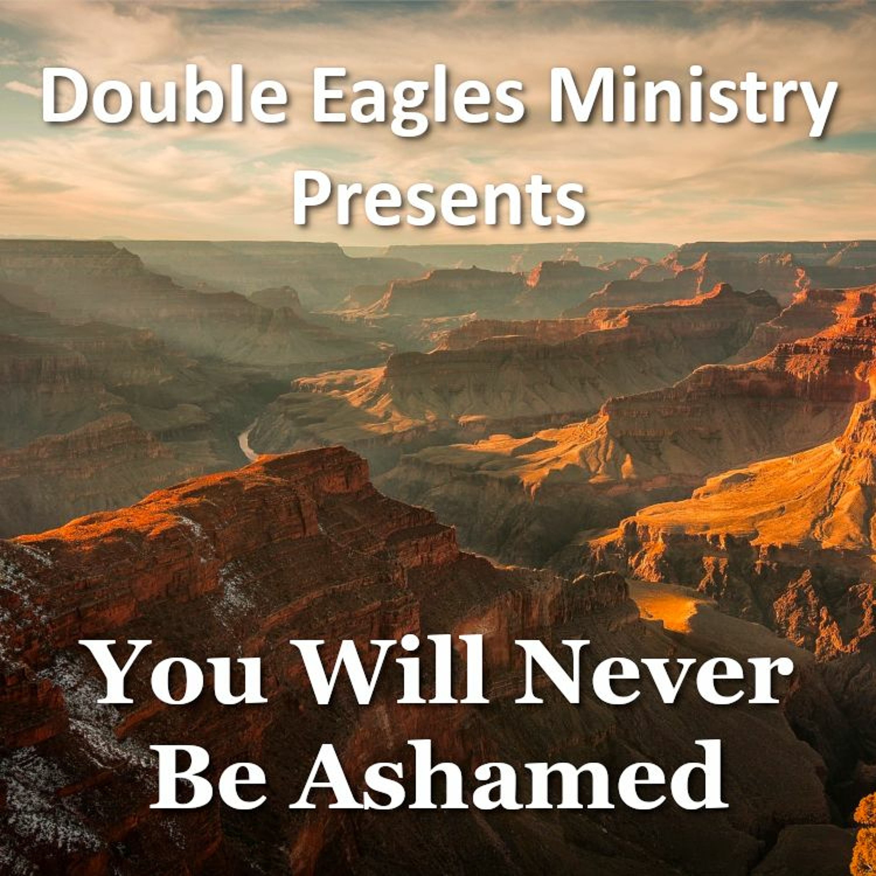 You Will Never Be Ashamed episode artwork