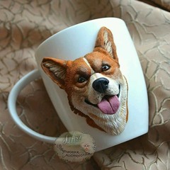 سمعت كلامكو عني طلع الكلام خايب رضا البحراوي ٢٠٢٠