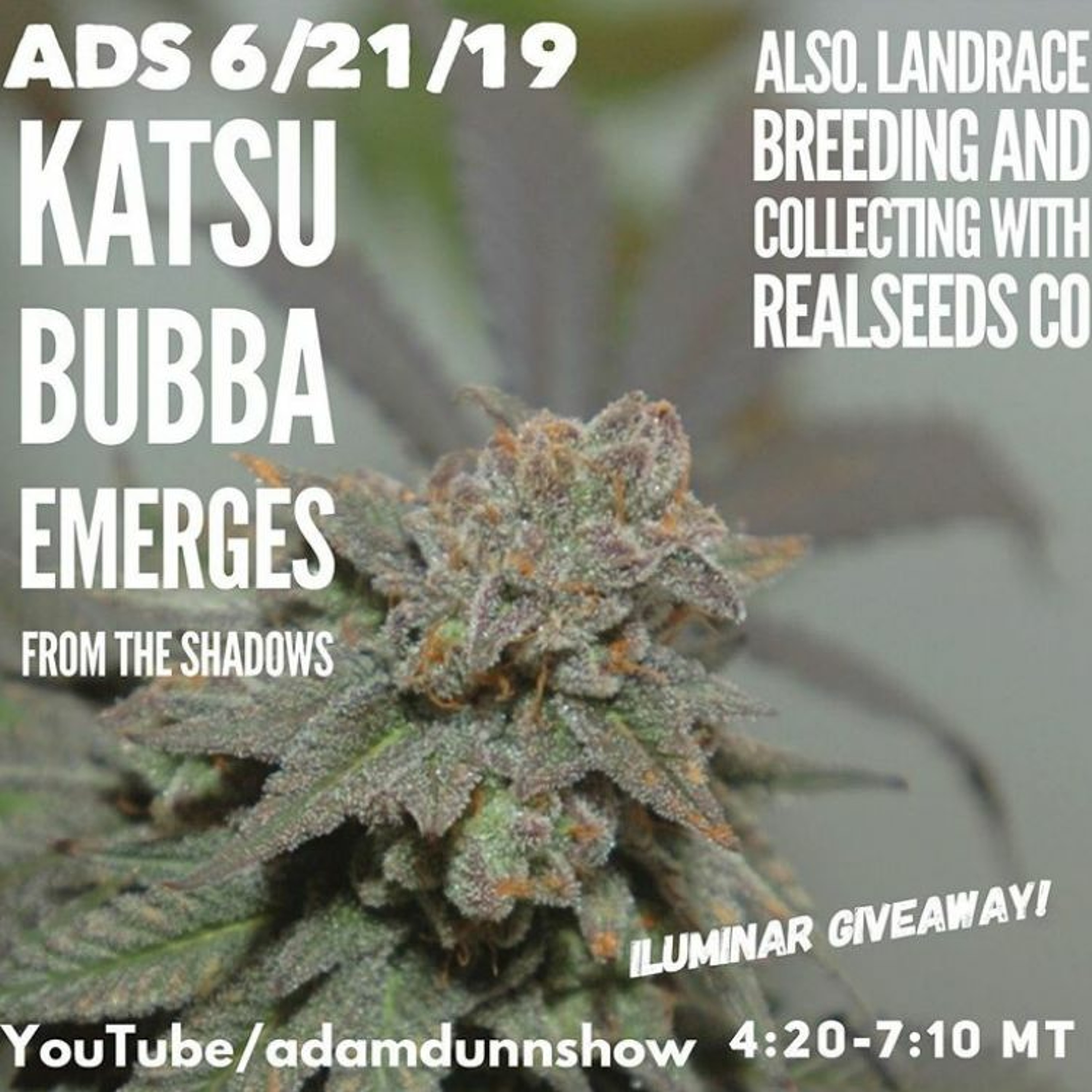 TADS 062119 - Katsu Bluebird Emerges! & Landrace Talk With Therealseedcompany episode artwork