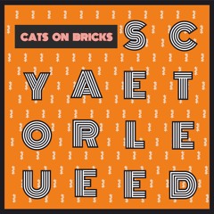 YOU ARE SELECTED #5 with Cats on Bricks