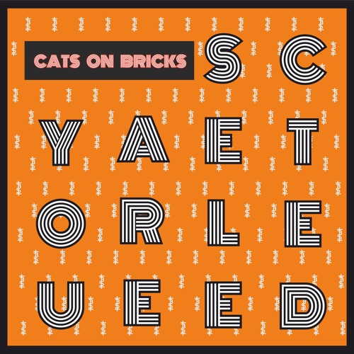 YOU ARE SELECTED #5 with Cats on Bricks