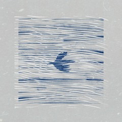 Cedric Vermue - She Said