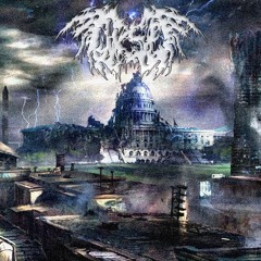X LXLIHVRD選んだ - kn1fef1ght