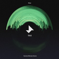 Sonnen Blumen Kerne - Wipe EP [Conceptual Black]