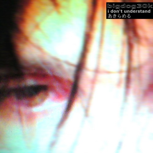 bigdog30k - i don't understand