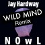 Jay Hardway Wild Mind(N0wL Remix)