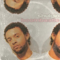 Shaggy - Boombastic (Shulgin Bootleg) [FREE DL]