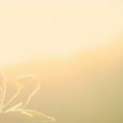 それから（201905mix）