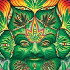 Gaudium - Go Nutz (Original mix)