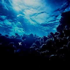 スイマー（201905mix）