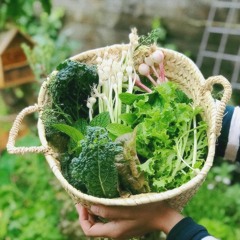 Làm vườn và bắt sâu