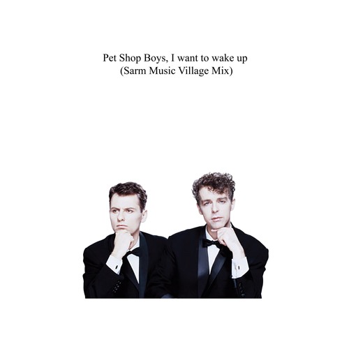 Pet Shop Boys I Want To Wake Up - Shop Poin
