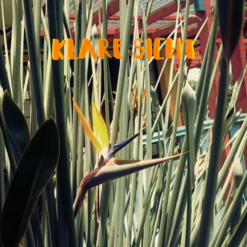 NORMAL IST ANDERS - Klare Sicht (Live)