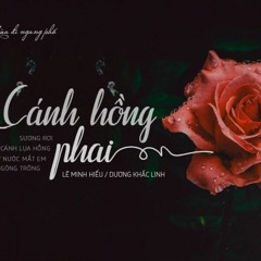 Cánh Hồng Phai Remix - Rastz X MHanh