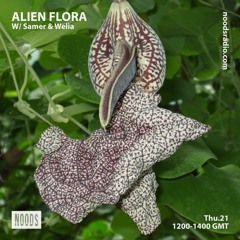 Alien Flora w/ Samer & Welia ─ Noods Radio (21.11.19)