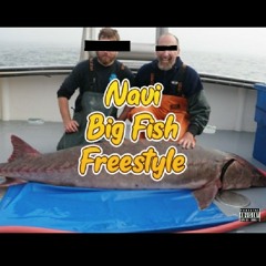 Big Fish Freestyle