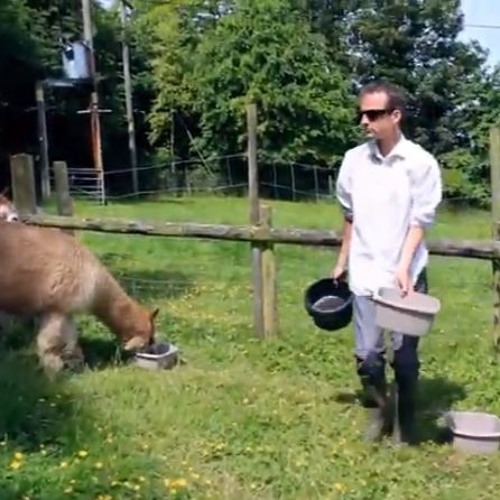 A.M.Bell - String Quartet No. 29 (IV): Molto Vivace