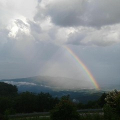 Long Gone Blues (Original)